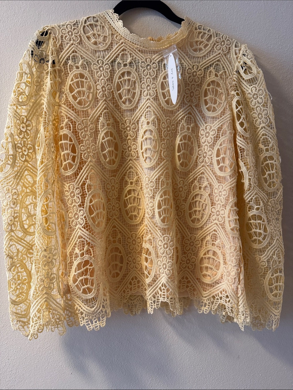 Scalloped Lace Long-Sleeve Blouse in Pale Yellow